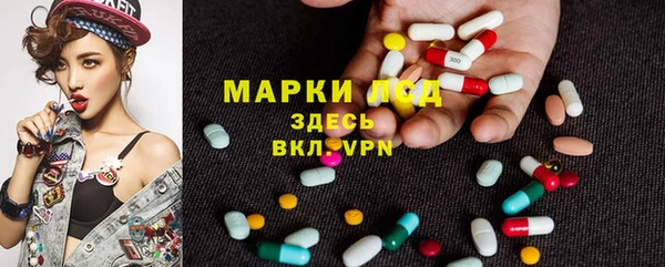 Альфа ПВП Каменка