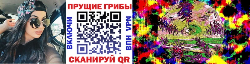Купить  Волжск  Псилоцибиновые грибы GOLDEN TEACHER 